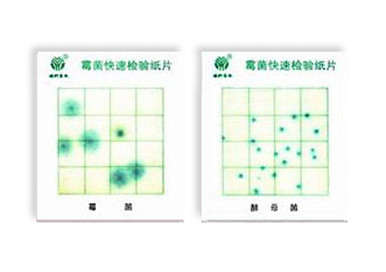 霉菌、酵母菌測(cè)試片